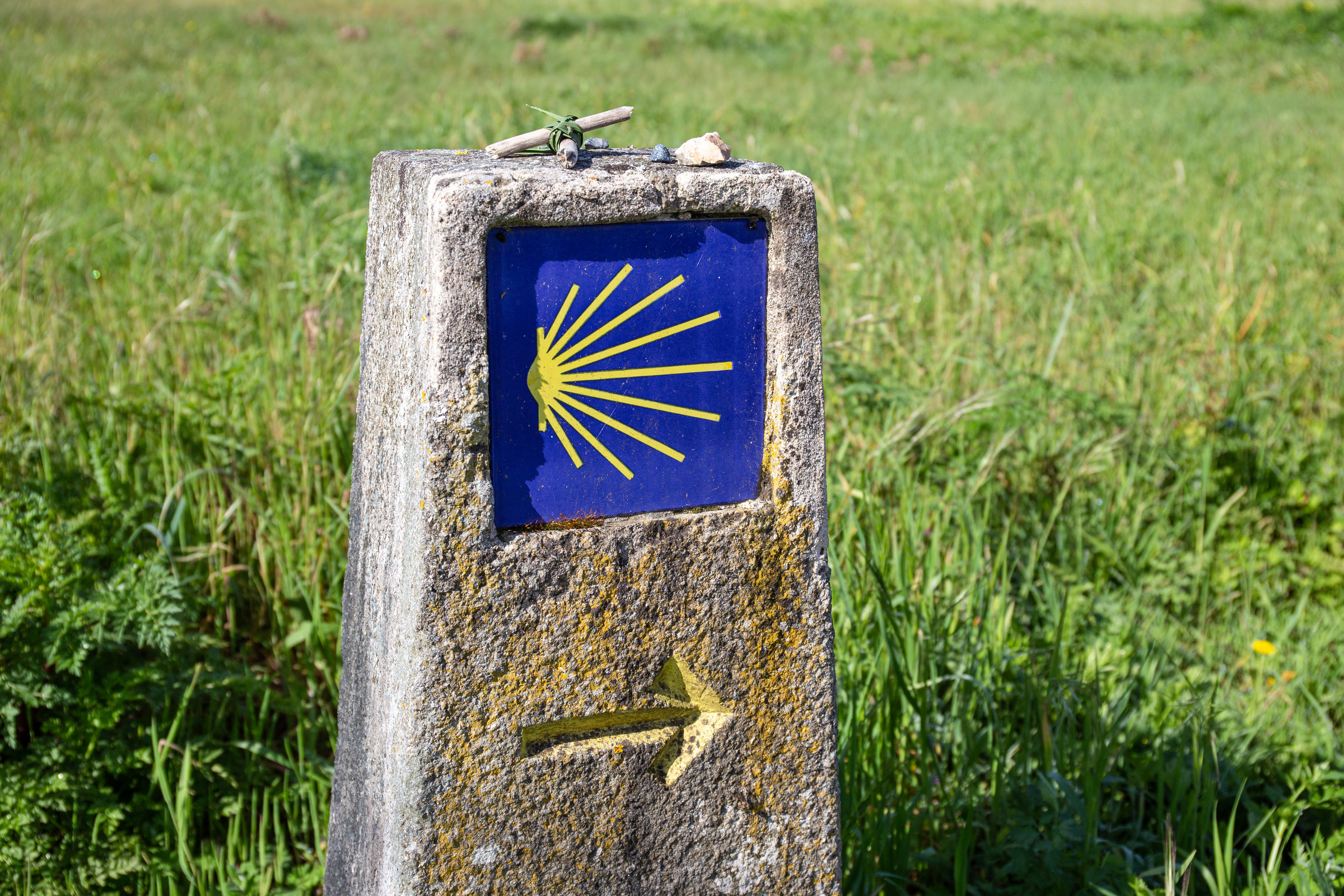 El Camino hacia Santiago